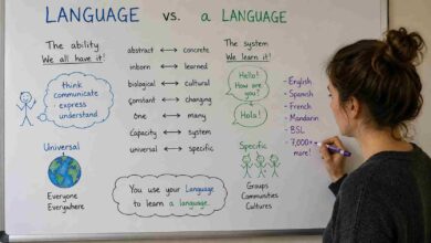 A teacher explaining the difference between language and a language on a whiteboard, comparing abstract human capacity with specific communication systems.